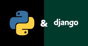 Django Web Development